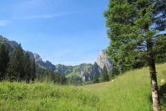 2014-Pfronten-5[1]